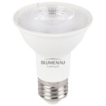 Lâmpada LED PAR20 E27 8W 650Lm Bivolt 4.000K